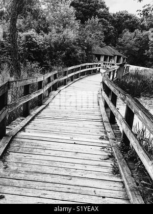 Ich alten Brücken wie dieser Liebe, es schien perfekt für Schwarz/Weiß-Fotografie. Es ist in Illinois auf eine meiner liebsten Wanderwege, die sich um einen großen natürlichen See entfernt. Stockfoto