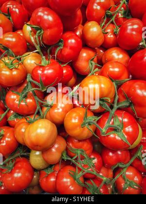 Full Frame Ansicht der Stapel der Reife Strauchtomaten Stockfoto