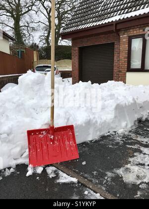 Job erledigt! Schnee geräumt eine Auffahrt mit einem großen Kunststoff Schneeschaufel Stockfoto