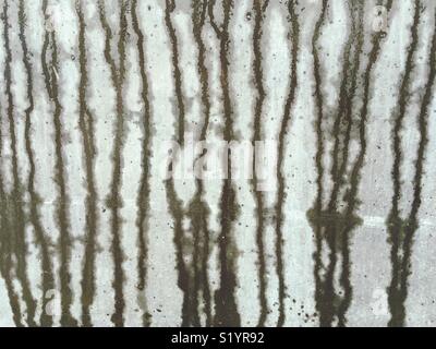 Wasser läuft eine Betonwand Stockfoto