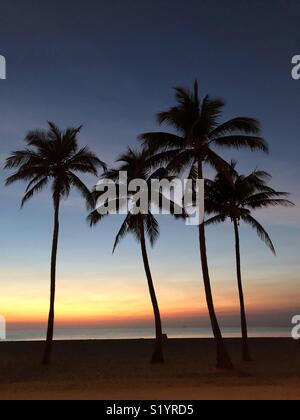 Sonnenaufgang am Hollywood Beach Florida mit Silhouette Palmen gegen die Bunte sunrise. Stockfoto