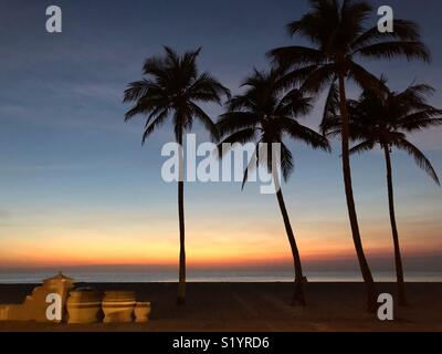 Florida Sonnenaufgang am Hollywood Beach. Palmen Silhouette gegen Morgen bunte Himmel. Stockfoto