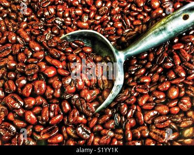 Lufthutze in Kaffeebohnen Stockfoto