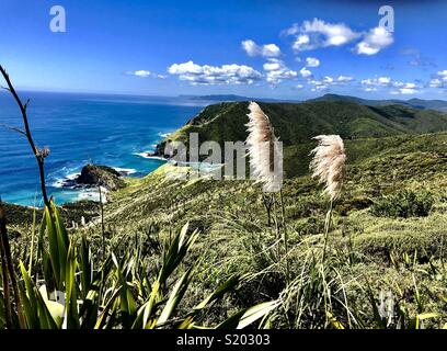 Blick auf die Küste und die Bucht von Spirituosen, am Cape Reinga, dem nördlichsten Punkt von Neuseeland, Nordinsel Stockfoto