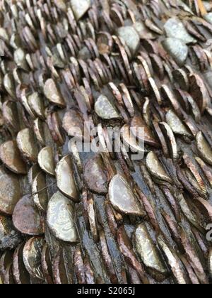 Eine Money Tree in der Nähe von Aira Kraft, Ullswater, Lake District, Großbritannien Stockfoto