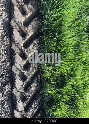 Titel, die von einem Bauernhof Traktor am Rande eines weichen Feld. Stockfoto