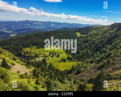 Sommer in den Bergen: Aussichtspunkt auf einem grünen Tal von der Gazon du Faing in den Vogesen, Frankreich. Stockfoto