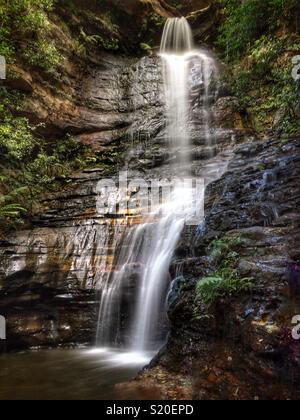 Kaiserin fällt, Tal der Gewässer Track, Blue Mountains National Park, NSW, Australien Stockfoto