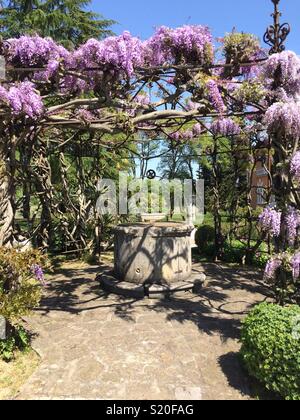 Gut in Spessa Schloss. Capriva del Friuli, Italien Stockfoto