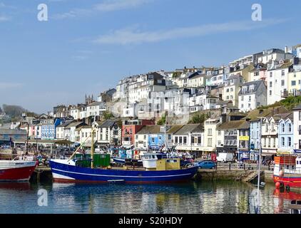 Hafen von Brixham, Devon Stockfoto