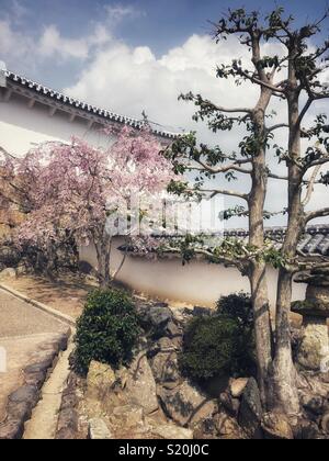 In Himeji, Japan Frühling. Stockfoto