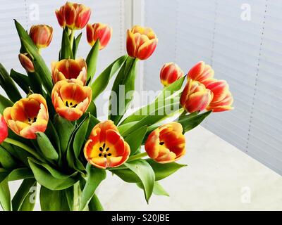 Blumenstrauß aus Tulpen in ein Glas Vase Stockfoto