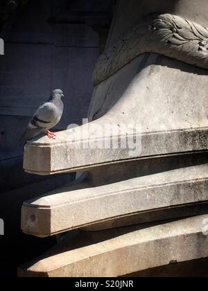 Taube bewundern Statue im Central Park, New York City Stockfoto