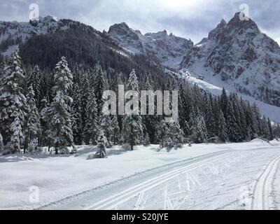 Loipe im Val Fischleintal, Italien. Stockfoto