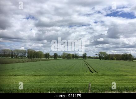 Der Blick von den Ufern des Flusses Great Ouse, Ely in Flussauen. Stockfoto