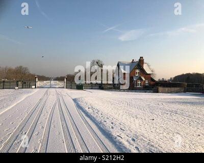 Langer Spaziergang, Windsor Great Park im Schnee Stockfoto