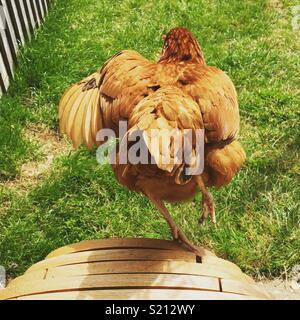 Wir heben ab! Stockfoto