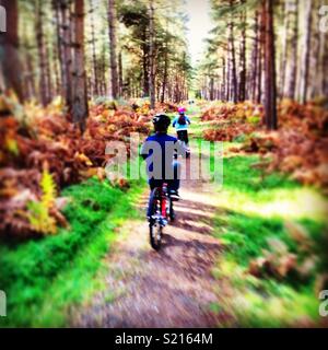 Kinder Radfahren im Wald Stockfoto