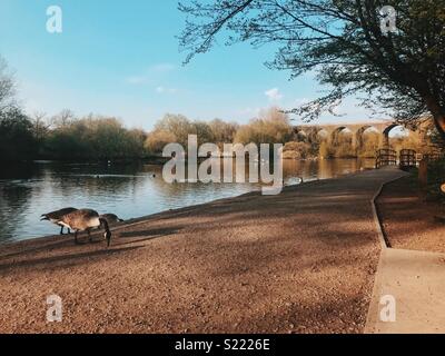 Rötlich Vale Country Park, Stockport. Stockfoto