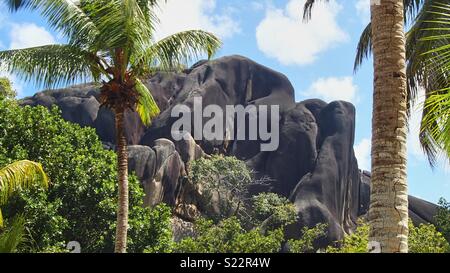 Typische schwarz grau Rock Formation hinter grünen Palmen und Pflanzen und bei bewölktem Himmel auf den Seychellen Stockfoto