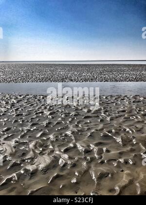 Wattenmeer auf der Themse im Frühsommer Stockfoto