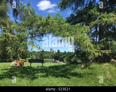 Blick auf die St. Albans Abbey/Kathedrale von Verulamium Park, St Albans, Hertfordshire, England, UK Stockfoto