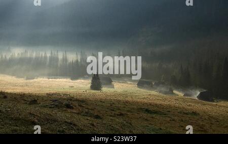Misty Morning in Chocholowska Tal, Tatra Stockfoto