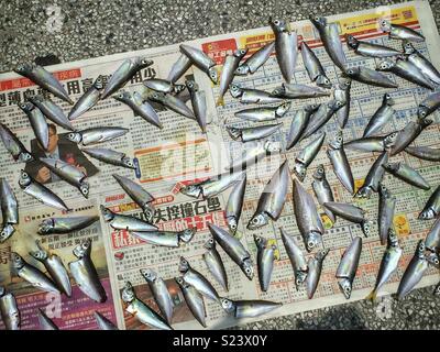 Kleine Fische, frisch gefangen und gereinigt, auf Zeitung legte an zentralen öffentlichen Pier 9, Hong Kong Island zu trocknen Stockfoto