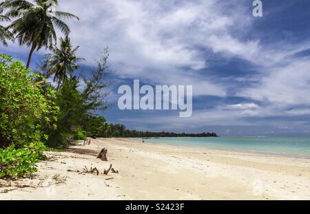 Das Andaman Meer trifft den palmengesäumten Strand von Cape Pakarang, Khao Lak in der Provinz Phang Nga, Thailand. Stockfoto