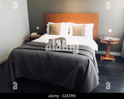 Frau Braun Leder Handtasche auf einem Hotelbett Stockfoto