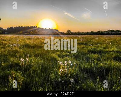 Land Spaziergang bei Sonnenuntergang Stockfoto