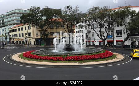 Rotunde de Infante, einen Kreisverkehr mit Springbrunnen und rote Blumen in Funchal, Madeira Stockfoto