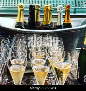 Reihen von Champagner in Flöten Stockfoto