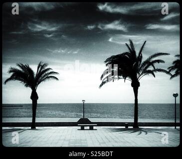 Palmen und Meer in L'Hospitalet de l'Infant, Katalonien, Spanien. Stockfoto