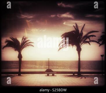 Palmen und Meer in L'Hospitalet de l'Infant, Katalonien, Spanien. Stockfoto