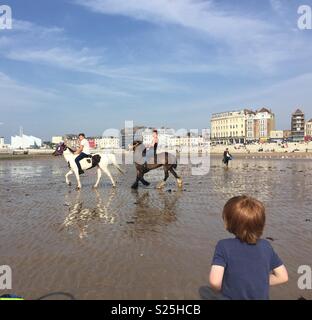 Pferde Abkühlung bei Margate Main Sands auf Feiertag Montag nach Fahrt um Kent Küste mit Reisenden und Traps Stockfoto