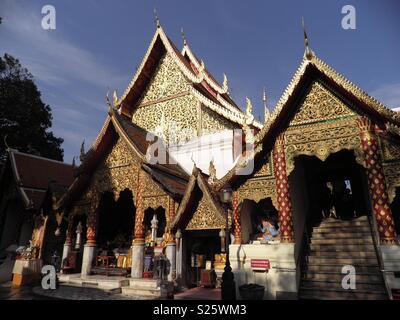 Goldener Tempel in Chang Mai, Thailand Stockfoto