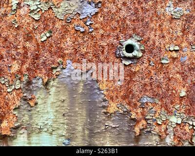 Bullet Loch in rostigen Stahl Brücke Strahl in den Adirondack Mountains, NY Wildnis Stockfoto