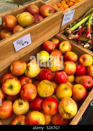 Äpfel, Rhabarber, Aprikosen/Marillen Stockfoto