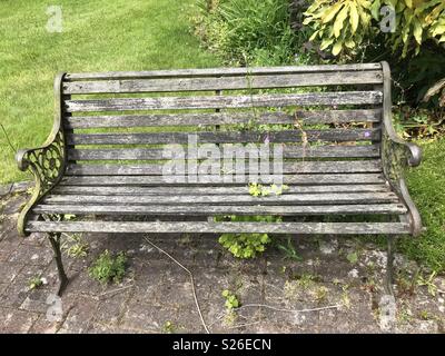 Pflanzen durch eine alte Bank zu wachsen Stockfoto