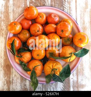 Frische Produkte, Mandarinen und Clementinen, Orangen auf einem Tablett, hohe Betrachtungswinkel Stockfoto