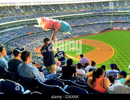 Zuckerwatte Anbieter in einer Nacht Spiel im Yankee Stadium, NEW YORK CITY, USA Stockfoto