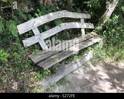 Alte bewachsene rustikalen hölzernen Sitzbank Stockfoto