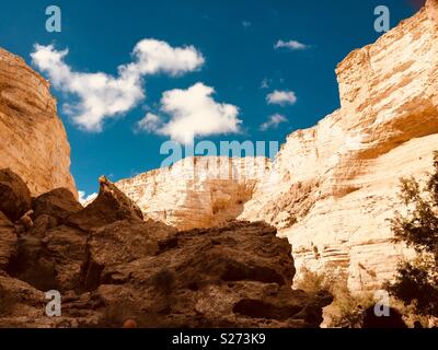 Ein avdat Nationalpark, Israel Stockfoto