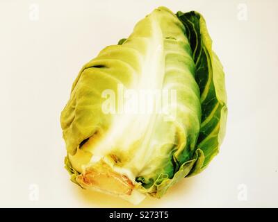 Spitzen Feder Kohl aus Lincolnshire, Großbritannien Stockfoto