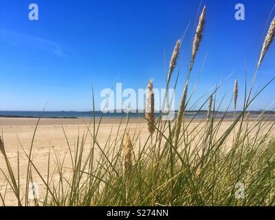 Rhoscolyn durch Sand dune Schilf, von cymryan, Rhosneigr, Anglesey, North Wales, UK Stockfoto