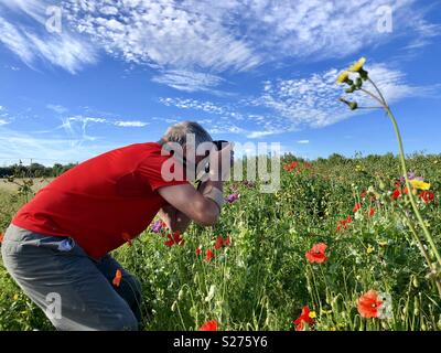 Ein Fotograf in einem Feld mit Mohnblumen arbeiten.