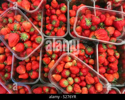 Frisch gepflückt, saftig, Rot, Erdbeeren in Kunststoff Körbchen auf einem Marktstand, hohe Betrachtungswinkel Stockfoto