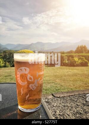 Ein Pint schwarze Schafe Bier in der Sonne. Quelle: Lee Ramsden/Alamy Stockfoto