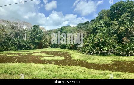 Panama Canal Railway Company Stockfoto